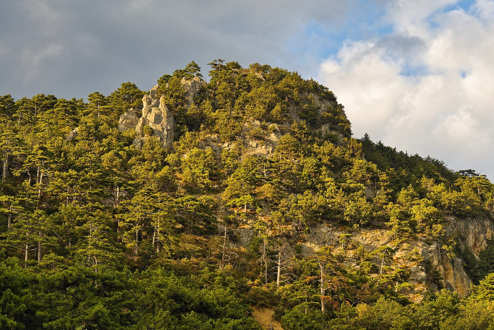 Плюсы и минусы покупки земли в Крыму